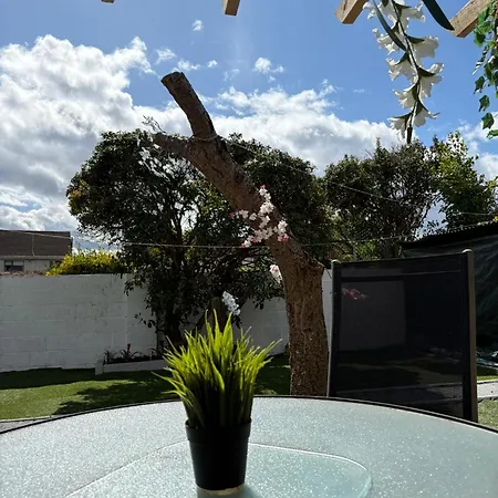 Superb Triple Near Airport - 2 *