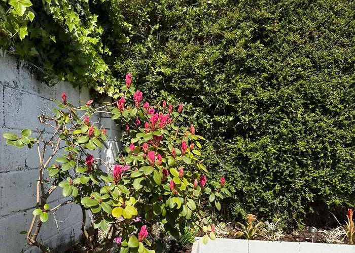 Pensión Superb Triple Room Near Airport - 2 *