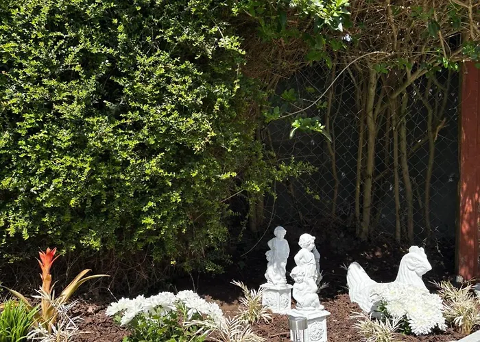 Pensión Superb Triple Room Near Airport - 2