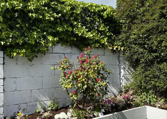 בית הארחה Superb Triple Near Airport - 2