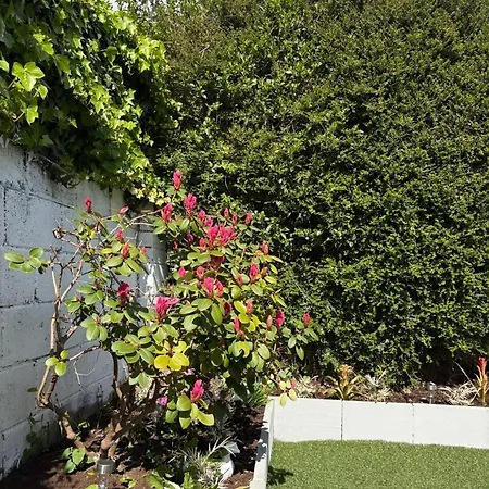 بيت ضيافة Superb Double Near Airport - 2 *